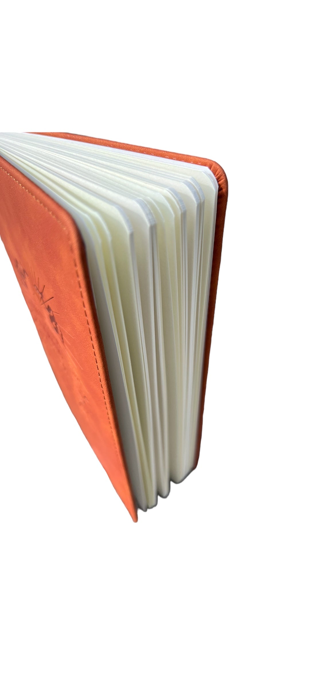 Own Your Fucking Power Vegan Journal